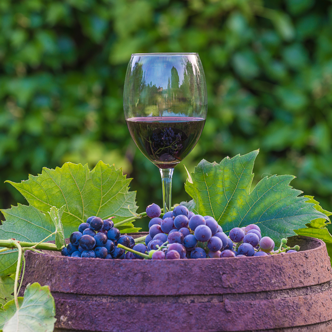 What-is-wine